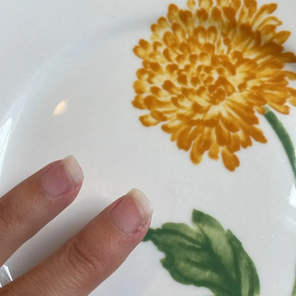 Pier 1 Fall Floral Collection Porcelain Salad  Bread Plates Set of 3 Mums 7.75”